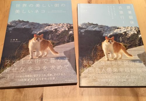 『世界の美しい街の美しいネコ』（エクスナレッジ）台湾版も発売しました