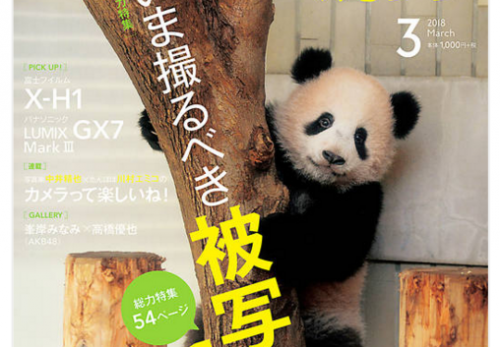 【３月号】デジタルカメラマガジン（インプレス）連載「世界の猫に恋して」掲載しています
