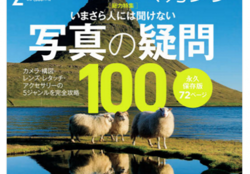 【２月号】デジタルカメラマガジン（インプレス）連載「世界の猫に恋して」掲載しています