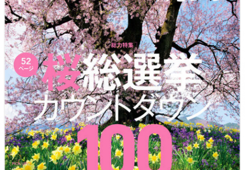 【４月号】デジタルカメラマガジン（インプレス）連載「世界の猫に恋して」掲載しています