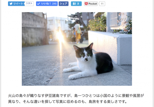 【神津島・前編】デジカメWatch掲載「カメラ旅女の全国ネコ島めぐり」公開しました