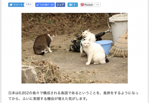 【竹島・前編】デジカメWatch掲載「カメラ旅女の全国ネコ島めぐり」公開しました