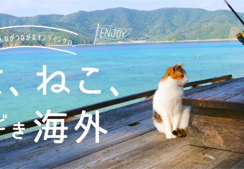 オンラインサロン「しま、ねこ、ときどき海外」スタートしました。