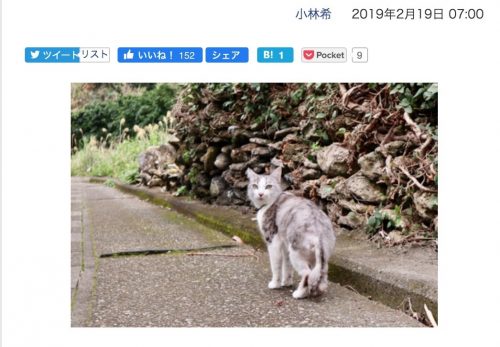 【与路島・前編】デジカメWatch掲載「カメラ旅女の全国ネコ島めぐり」公開しました
