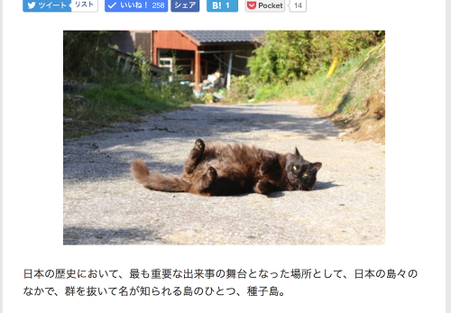 【種子島・前編】デジカメWatch掲載「カメラ旅女の全国ネコ島めぐり」公開しました