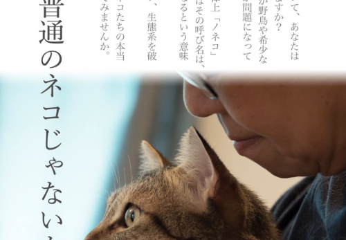記事一覧 Officeひるねこ Life Is A Journey ページ 3 記事一覧 Officeひるねこ Life Is A Journey ページ 3