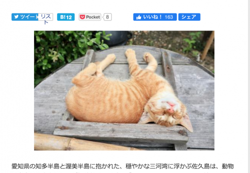 【佐久島・前編】デジカメWatch掲載「カメラ旅女の全国ネコ島めぐり」公開しました