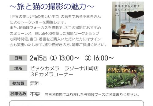 【イベント】2/15  「世界の美しい街の美しいネコ」トークショー＆カメラワークショップ開催