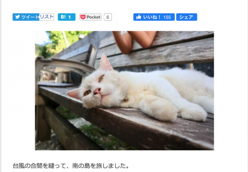 【座間味島・前編】デジカメWatch掲載「カメラ旅女の全国ネコ島めぐり」公開しました