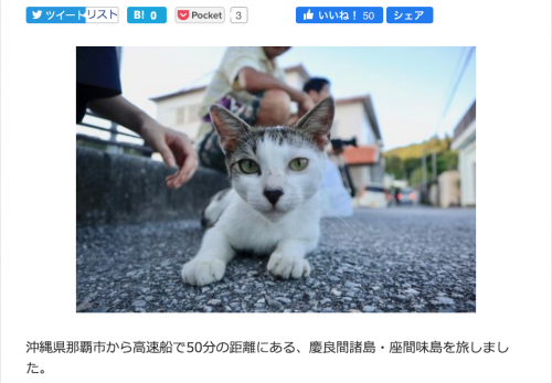 【座間味島・後編】デジカメWatch掲載「カメラ旅女の全国ネコ島めぐり」公開しました