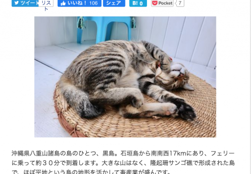 【黒島・前編】デジカメWatch掲載「カメラ旅女の全国ネコ島めぐり」公開しました