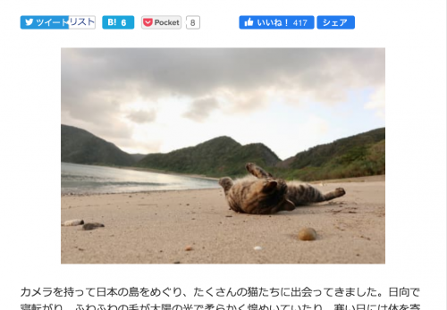 【猫島あれこれ総集編】デジカメWatch掲載「カメラ旅女の全国ネコ島めぐり」公開しました