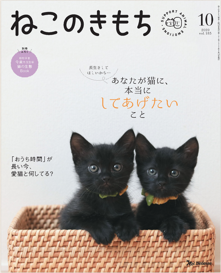 ねこのきもち 4冊999円 2013 6 8 月 バックナンバー ベネッセ（ねこの 