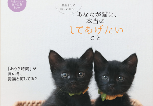 「ねこのきもち」10月号の特集に寄稿しました