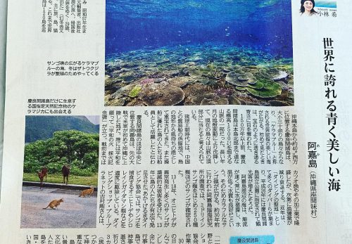 【1/14売り】産経新聞で連載中「島を歩く、日本を見る」